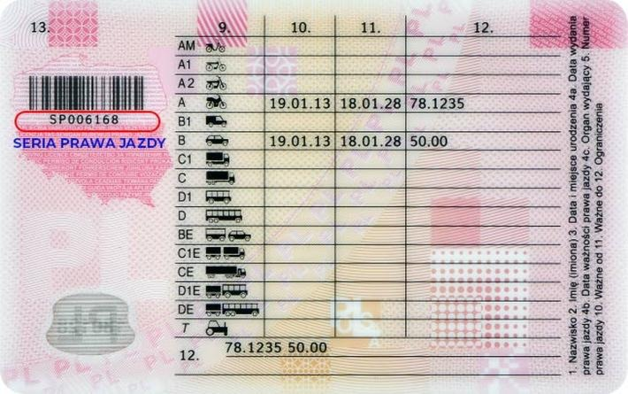 Seria prawa jazdy – gdzie ją znaleźć na dokumencie?