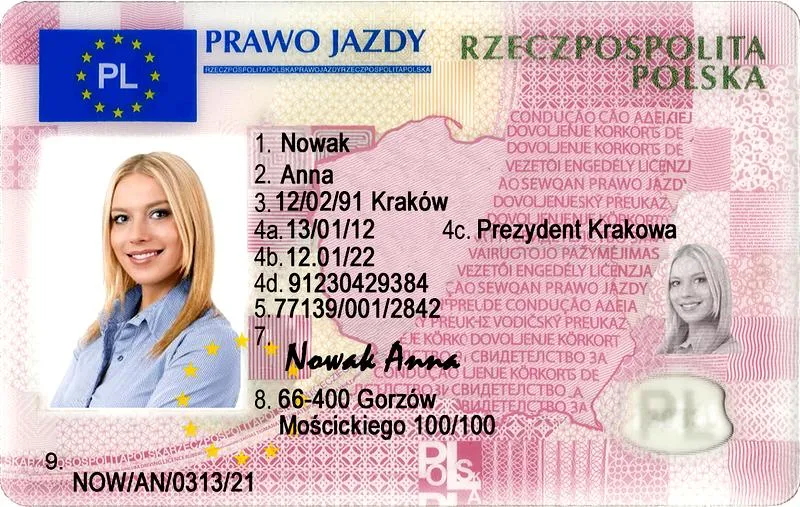 Jak zdać teorię na prawo jazdy
